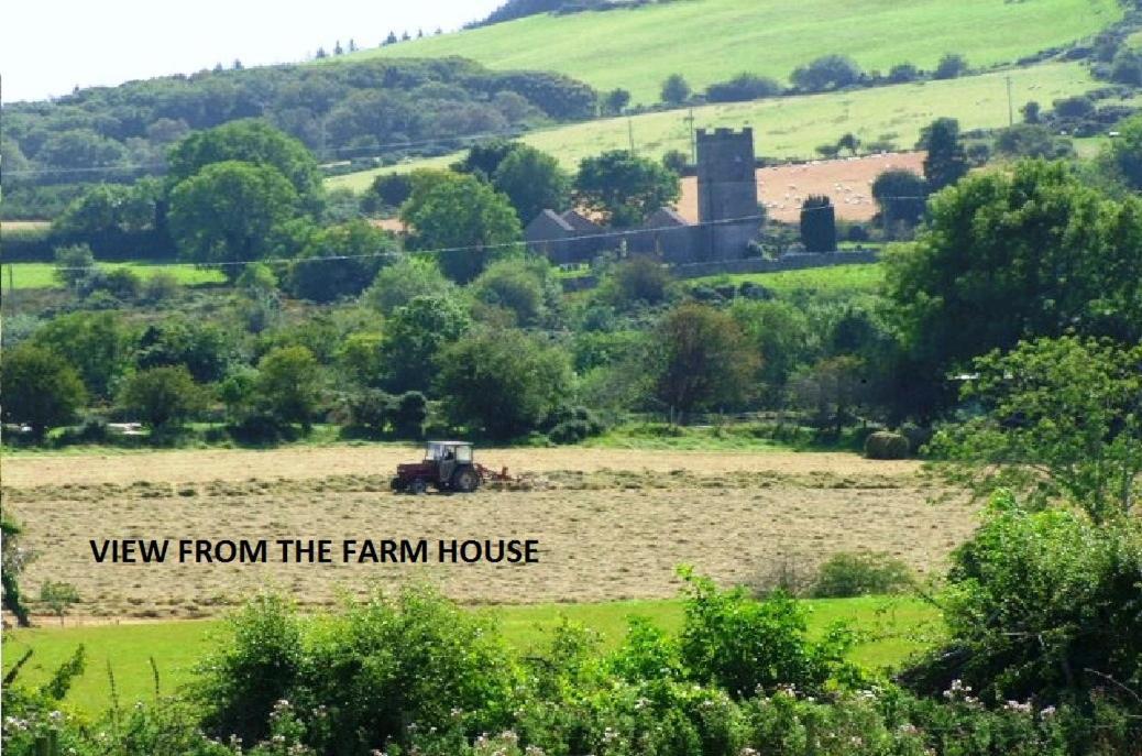 Wonderful Setting Apartment Wicklow